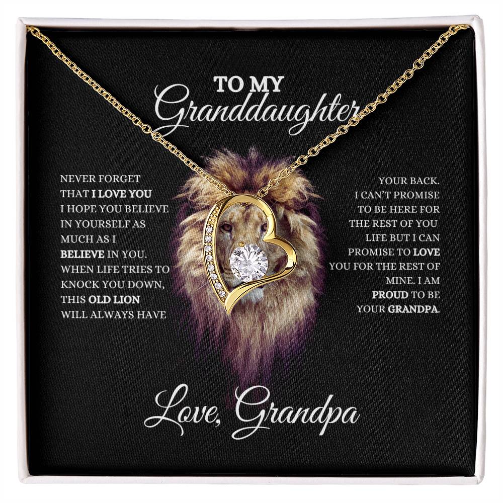 To My Granddaughter | Forever Love Necklace | Heartfelt Message From Grandpa