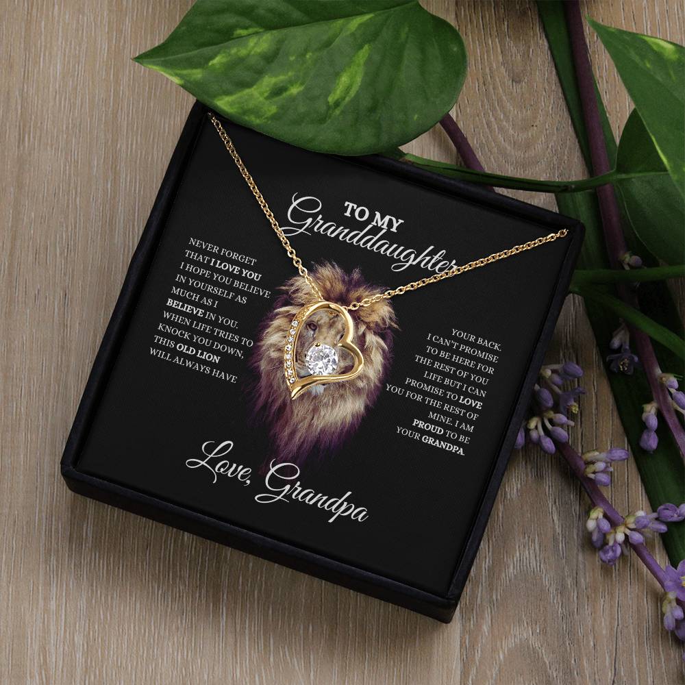 To My Granddaughter | Forever Love Necklace | Heartfelt Message From Grandpa