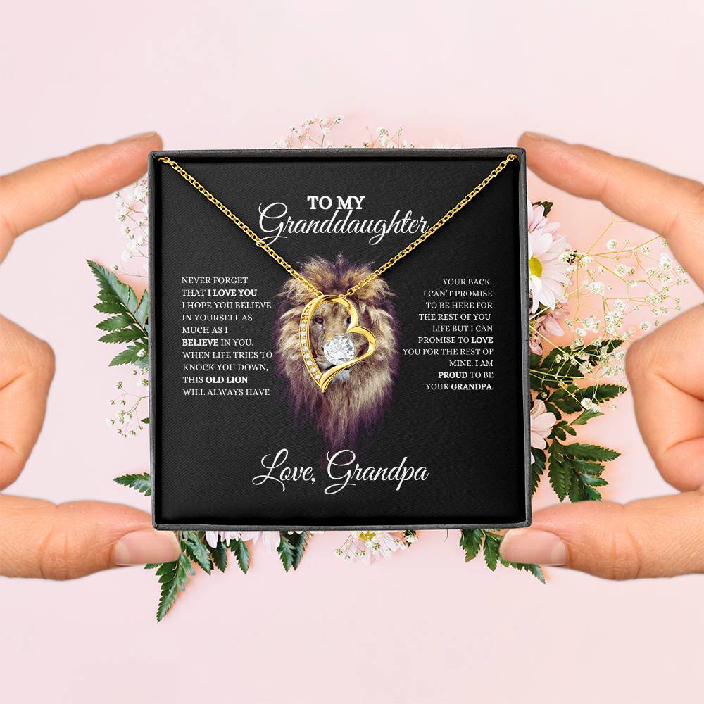 To My Granddaughter | Forever Love Necklace | Heartfelt Message From Grandpa