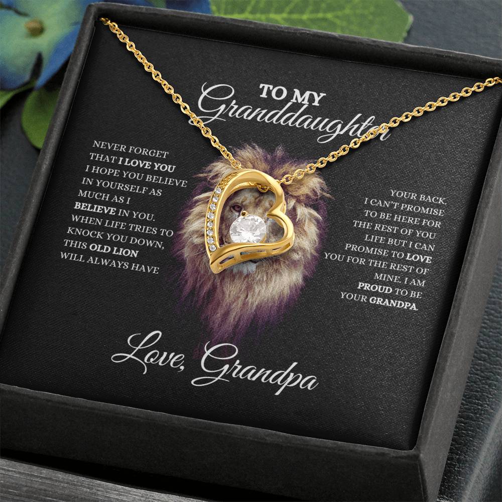 To My Granddaughter | Forever Love Necklace | Heartfelt Message From Grandpa